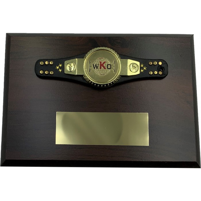 Custom Budget wooden plaque with a mini championship belt 4'' x 6" with personalised metal centre